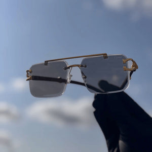 Solar Cheetah Glasses