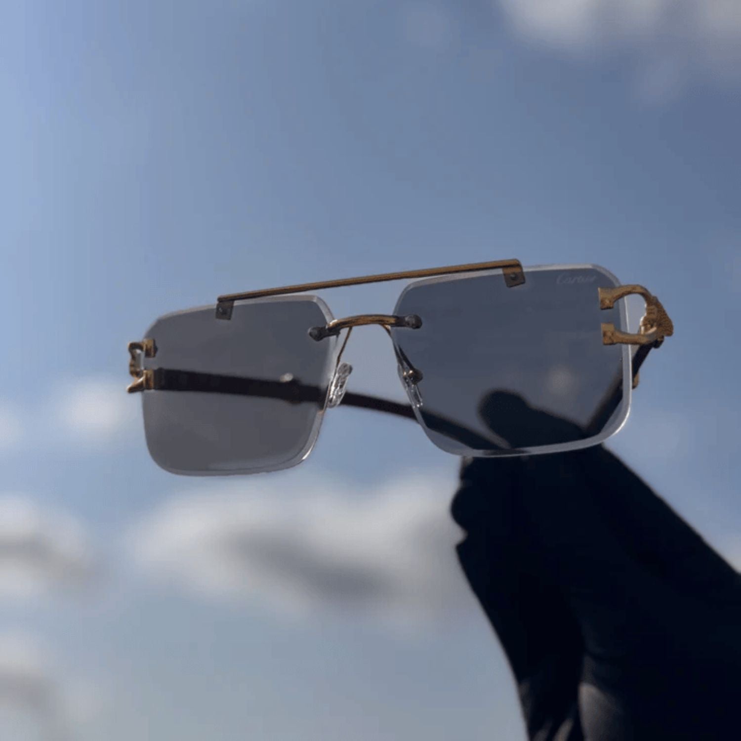 Solar Cheetah Glasses